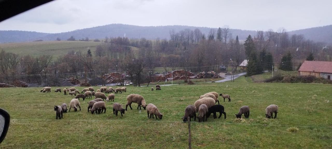 K85 Komancza Baza Noclegowa Wypadowa Bieszczady Beskid Niski Exterior foto