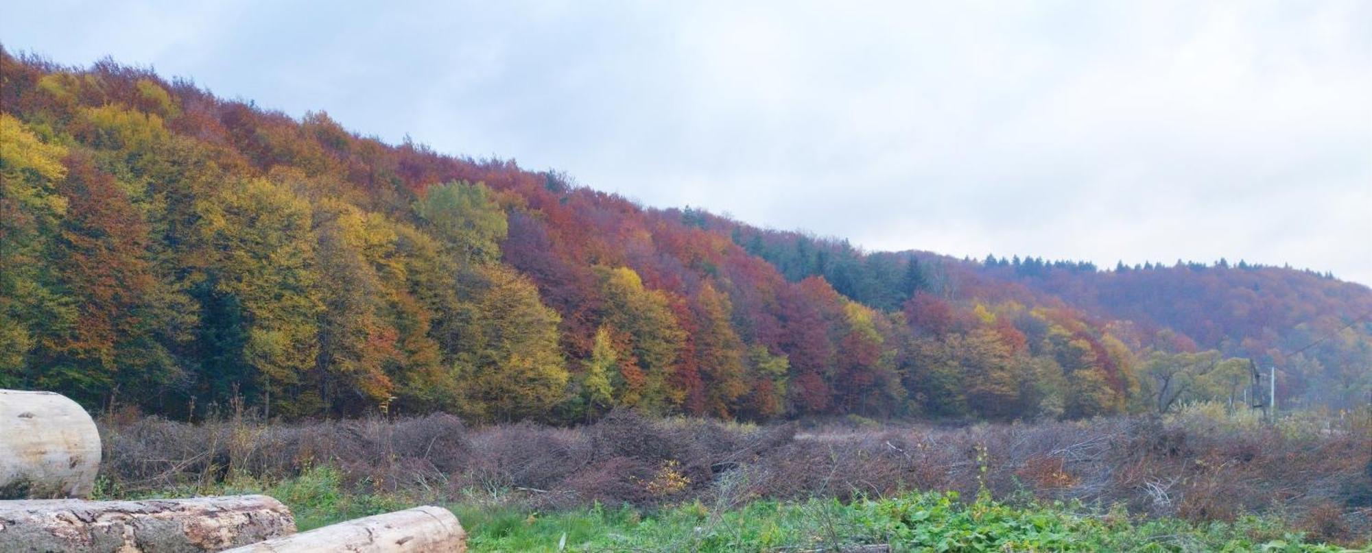 K85 Komancza Baza Noclegowa Wypadowa Bieszczady Beskid Niski Exterior foto